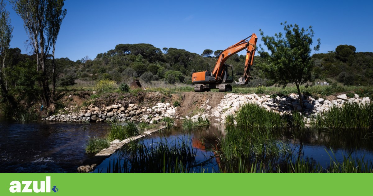 Existem mais de 13 mil barreiras nos rios portugueses. Quantas estão obsoletas? | Ambiente