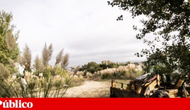 Chumbo da APA às alterações propostas por consórcio do TGV é soberano, diz ministro | Transportes