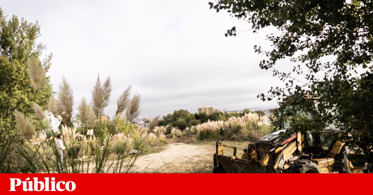 Chumbo da APA às alterações propostas por consórcio do TGV é soberano, diz ministro | Transportes