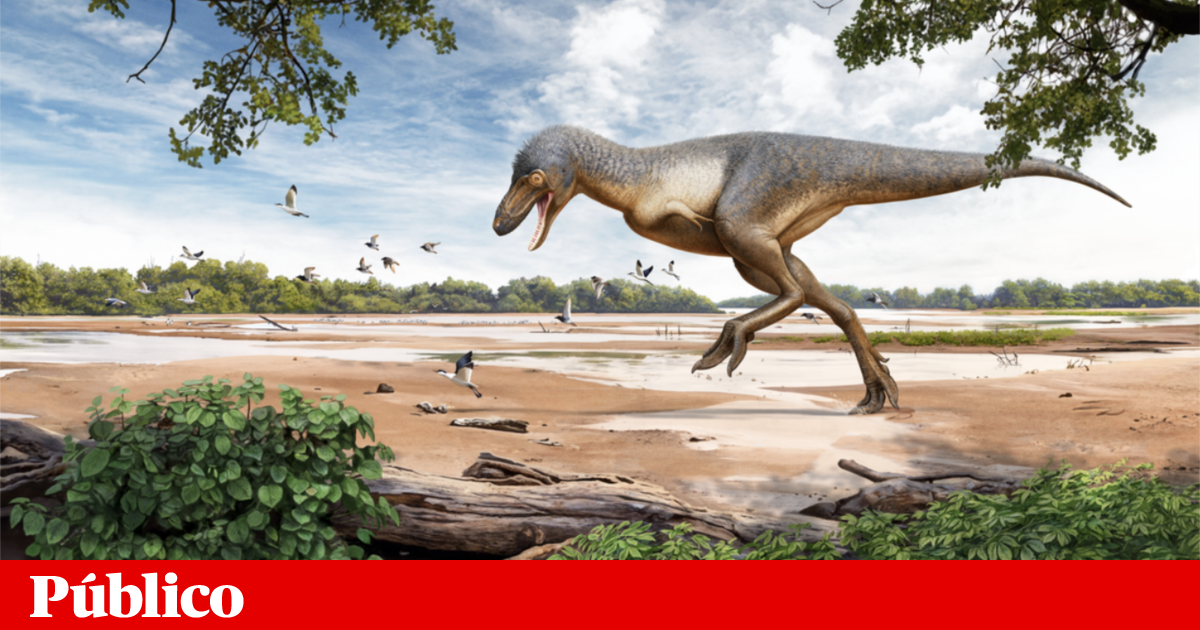 Novo estudo mostra que “rei dos dinossauros” crescia até aos 40 anos | Paleontologia