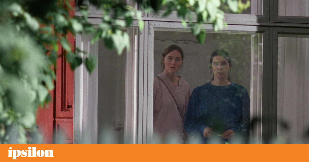 “Valor Sentimental”, “Living the Land” e outras estreias para esta semana | Cinema