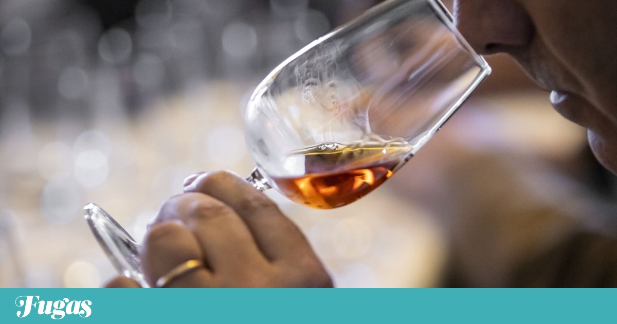Dez Portos de que gostámos muito nos últimos tempos | Crítica