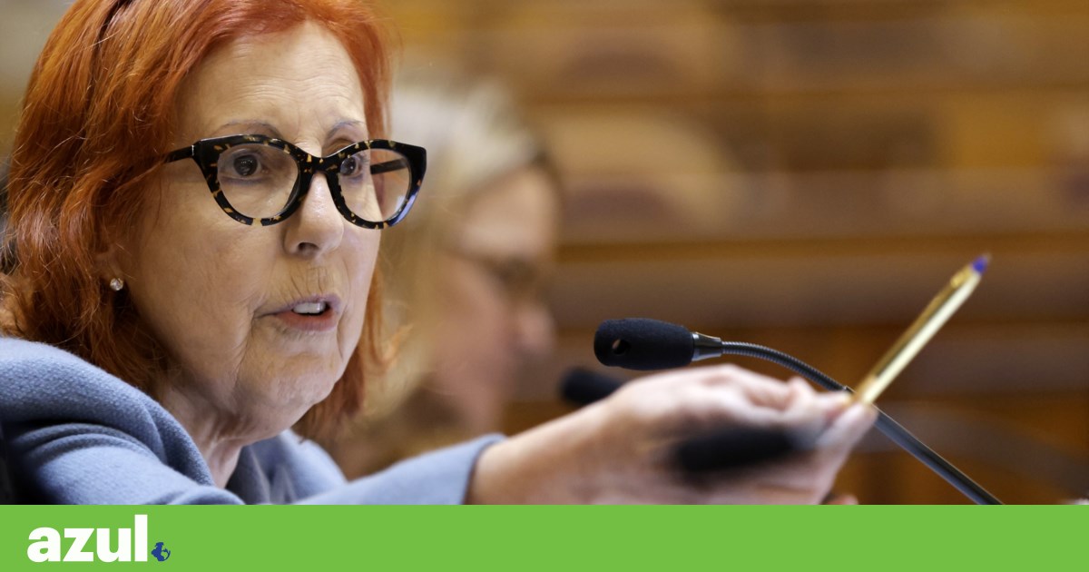 Ministra anuncia concurso para compra de pequenos painéis solares pelas famílias | Ministério do Ambiente