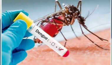 Vigilância Ambiental reforça alerta contra dengue, zika e chikungunya neste período chuvoso em Primavera do Leste - Prefeitura de Primavera do Leste Primavera do Leste