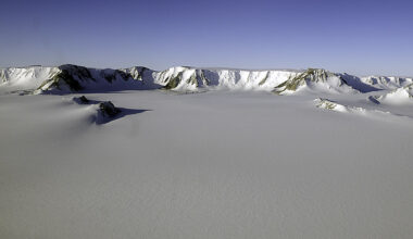 Apenas 11 bebés nasceram na Antártida. O que lhes aconteceu?