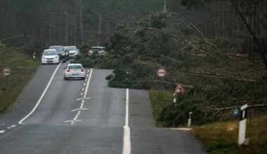 Jornal de Notícias Logo