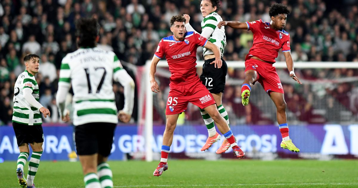 Galo de peito feito empurrou leão às cordas (crónica)