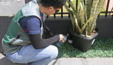 Equipe de Endemias mantém monitoramento da dengue e divulga boletim - Jornal do Oeste