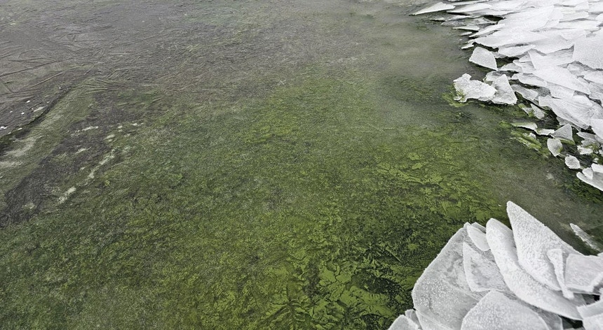 Cientistas explicam o extraordinário fenómeno