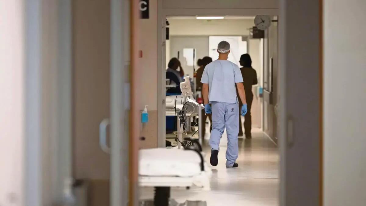 Jornal de Notícias Logo