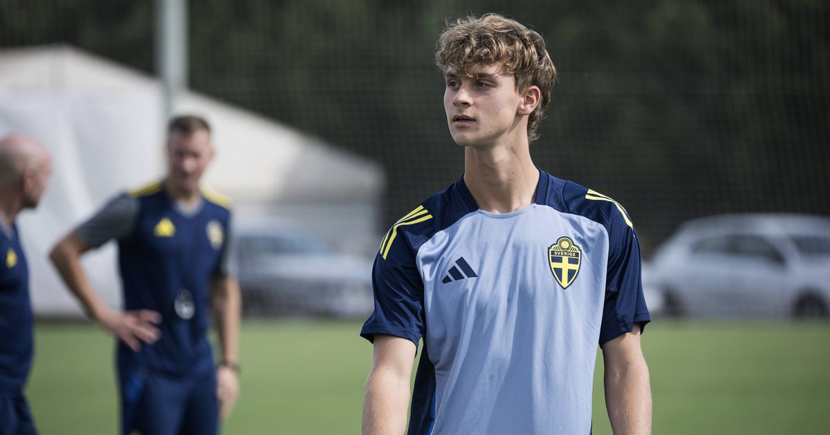 Tal pai, tal filho: filho de Ibrahimovic próximo do Ajax