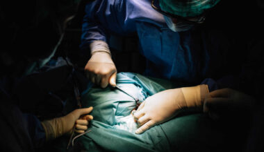 Jornal de Notícias Logo