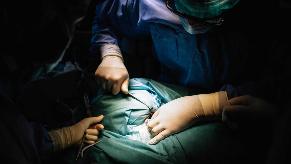 Jornal de Notícias Logo