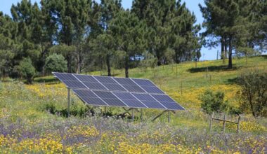 Central fotovoltaica Sophia ameaça projetos de quem escolheu a Beira Baixa para viver