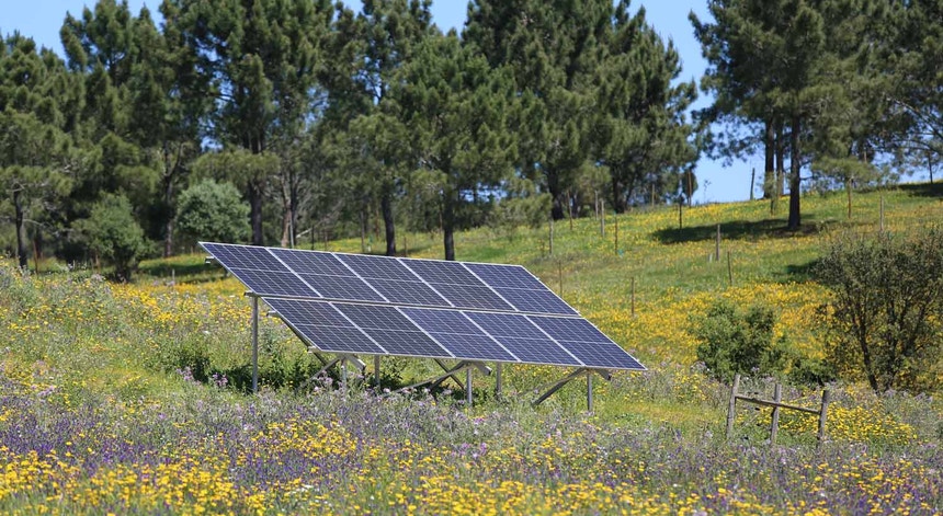 Central fotovoltaica Sophia ameaça projetos de quem escolheu a Beira Baixa para viver