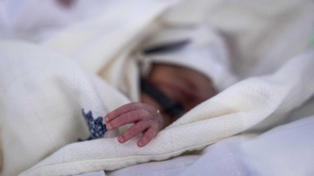 Jornal de Notícias Logo