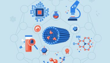 UNEMAT - Universidade do Estado de Mato Grosso