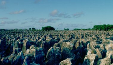como um paraíso no Pacífico se tornou uma ilha árida e uma prisão a céu aberto