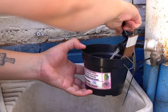 João Pazuch / PMPF / Divulgação