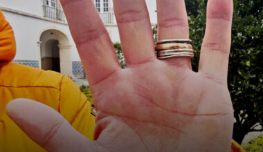 Jornal de Notícias Logo