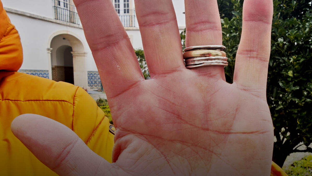 Jornal de Notícias Logo