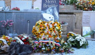 Jornal de Notícias Logo