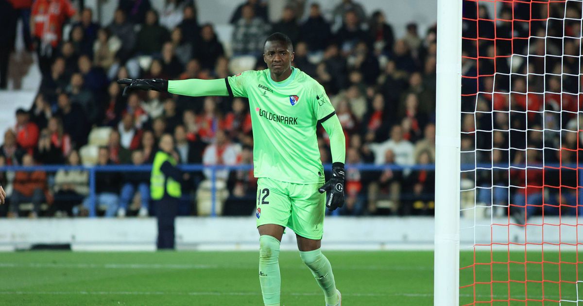 Mercado Gil Vicente: Andrew já viajou para o Rio de Janeiro