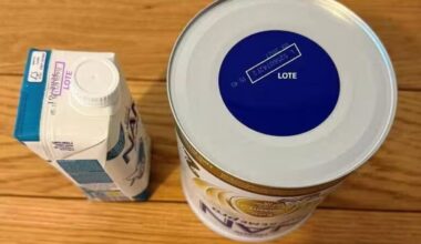 Jornal de Notícias Logo