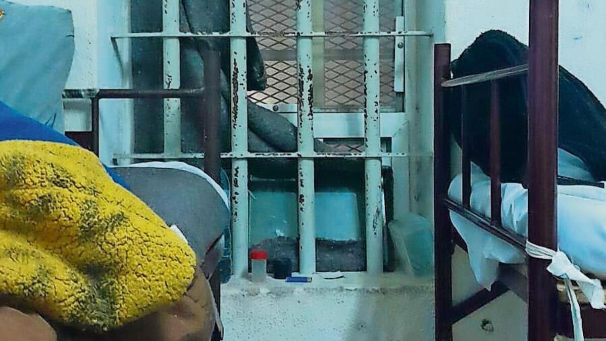 Jornal de Notícias Logo