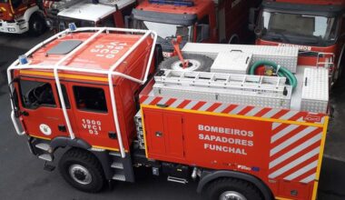 Galho ameaça viaturas e poste de electricidade em Santo Amaro