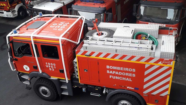 Galho ameaça viaturas e poste de electricidade em Santo Amaro