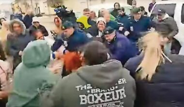 Jornal de Notícias Logo