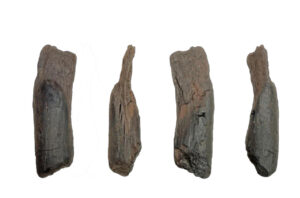 Ferramentas de madeira mais antigas da Europa são descobertas na Grécia