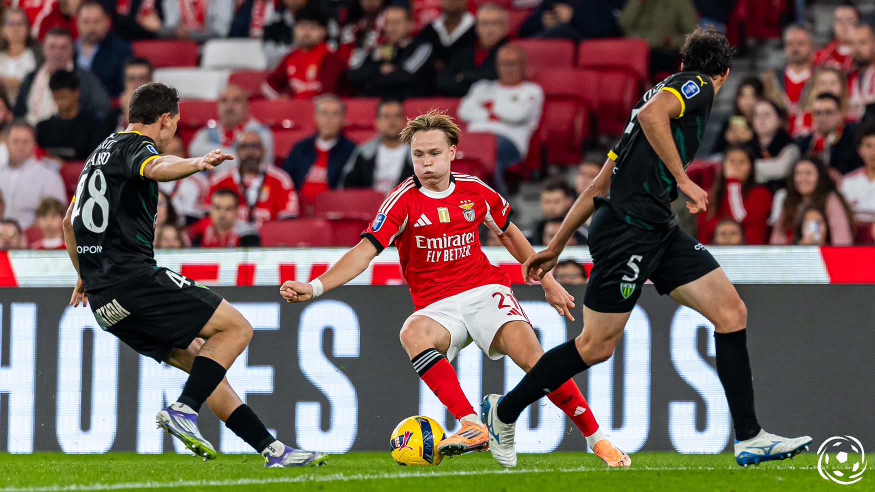 Besiktas quer Andreas Schjelderup e pode incluir Rafa Silva na negociação