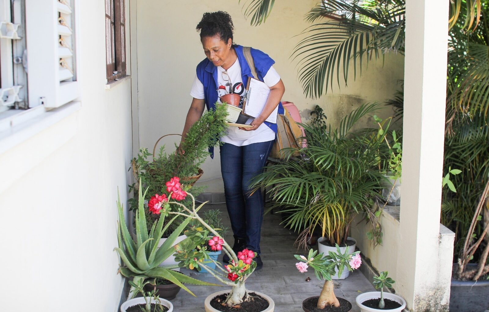 Prefeitura promove força-tarefa contra a dengue no Verde Vale e Nova Esperança nesta quinta-feira (8)