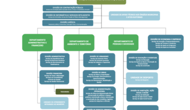 Novo organigrama da Câmara implementado a partir desta sexta-feira com dez novas chefias mas ainda sem Diretor Municipal