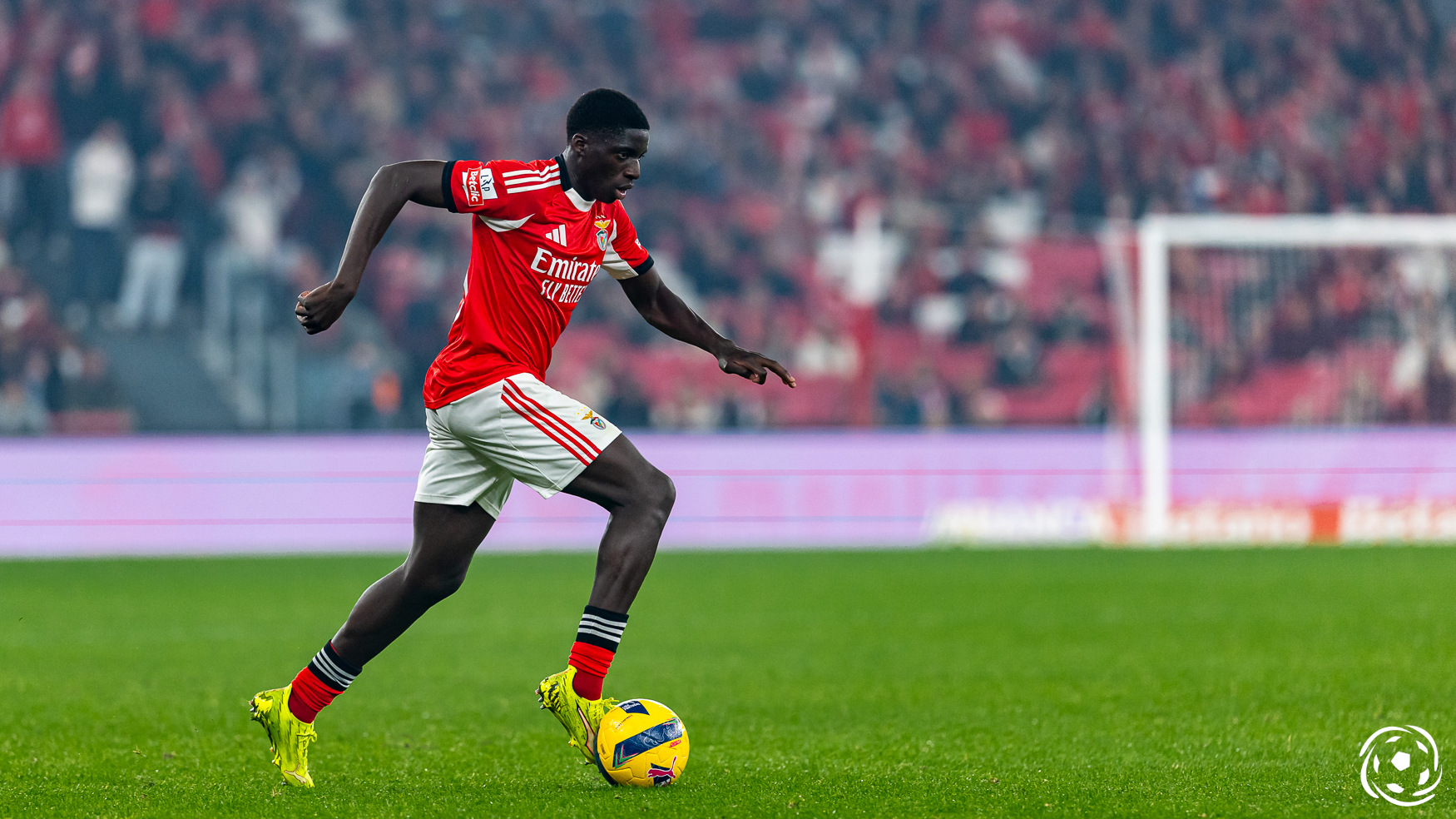 mercado de janeiro deixou a situação ainda mais clara