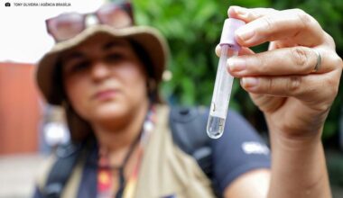 Casos prováveis de dengue no DF registram queda de 96% em 2025 — Política Distrital agora é PDNews, notícias sobre Política e Saúde do DF