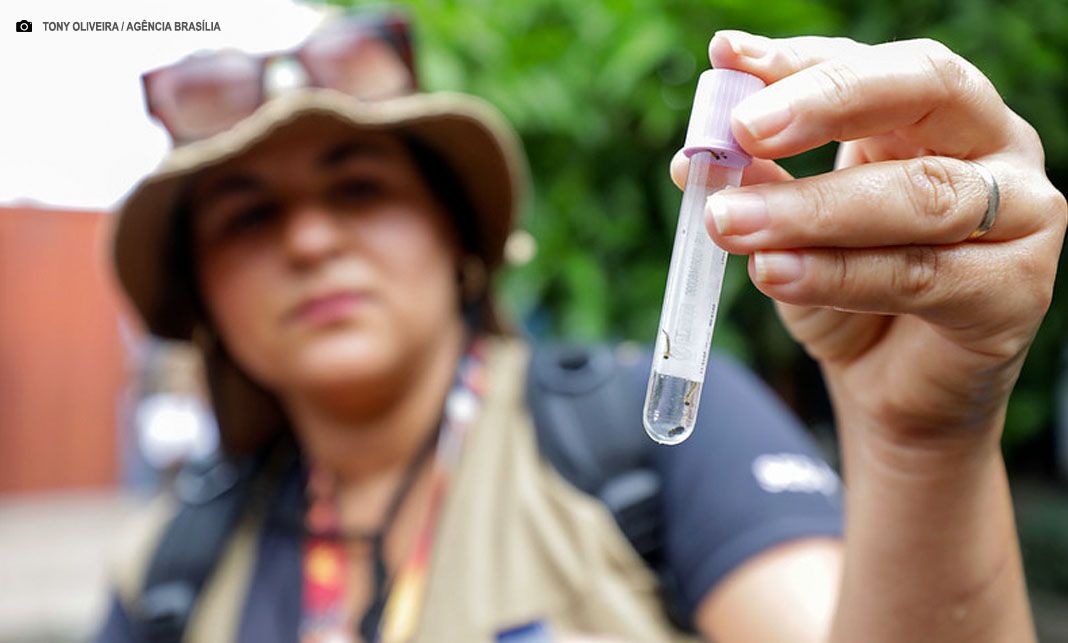 Casos prováveis de dengue no DF registram queda de 96% em 2025 — Política Distrital agora é PDNews, notícias sobre Política e Saúde do DF