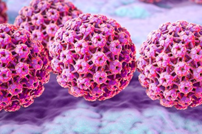 Cientistas detectam HPV em múmias — Sociedade Online