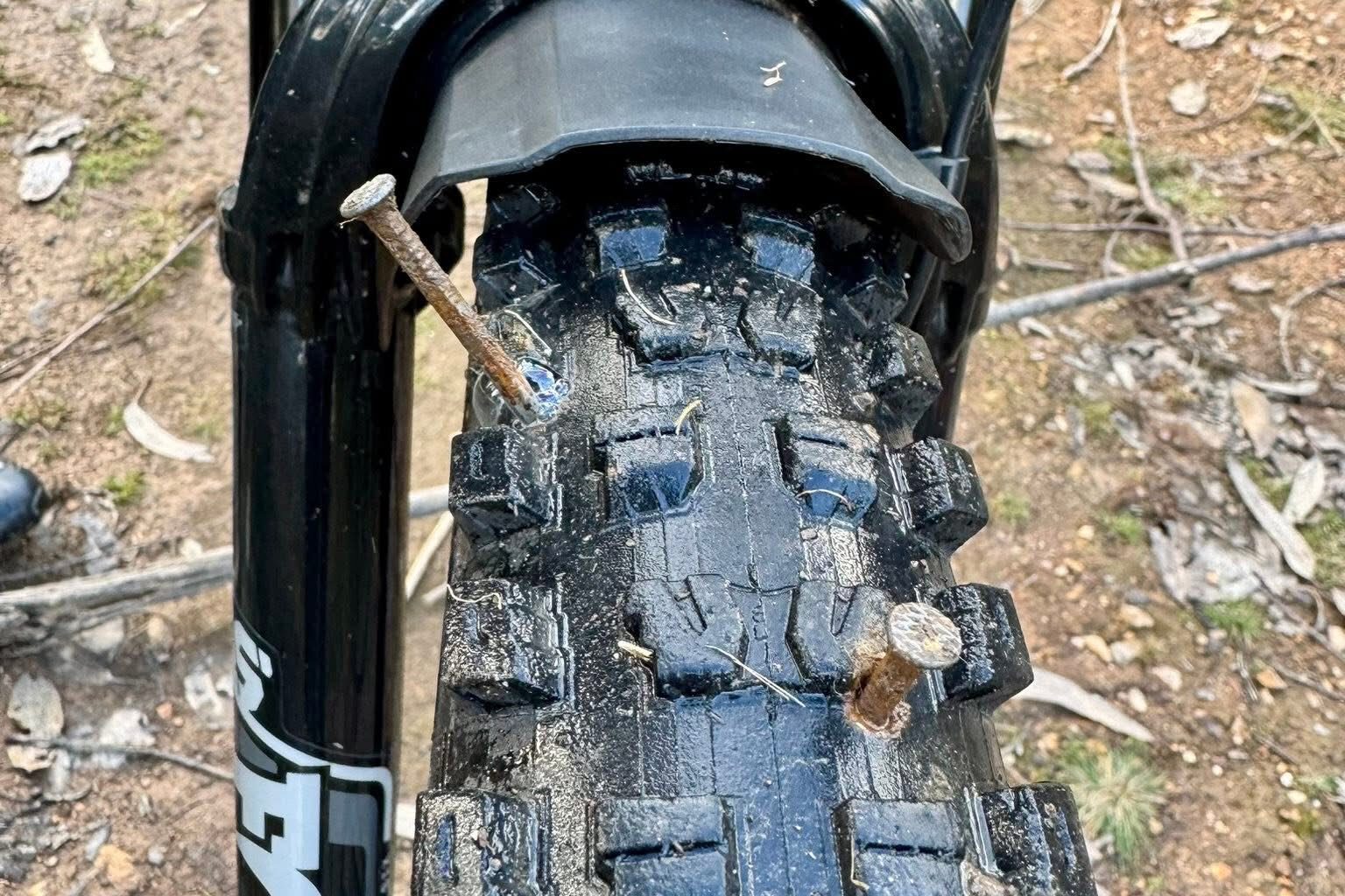 armadilha escondida em trilho de BTT na Trofa alarma ciclistas