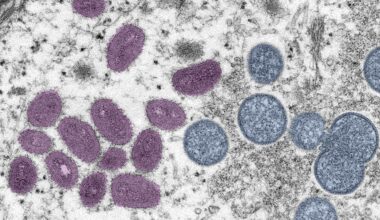 Prescrições médicas gratuitas e ilimitadas