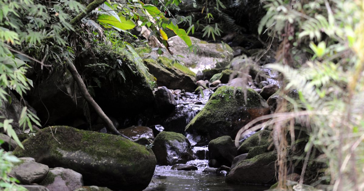 Parque Estadual da Serra Furada