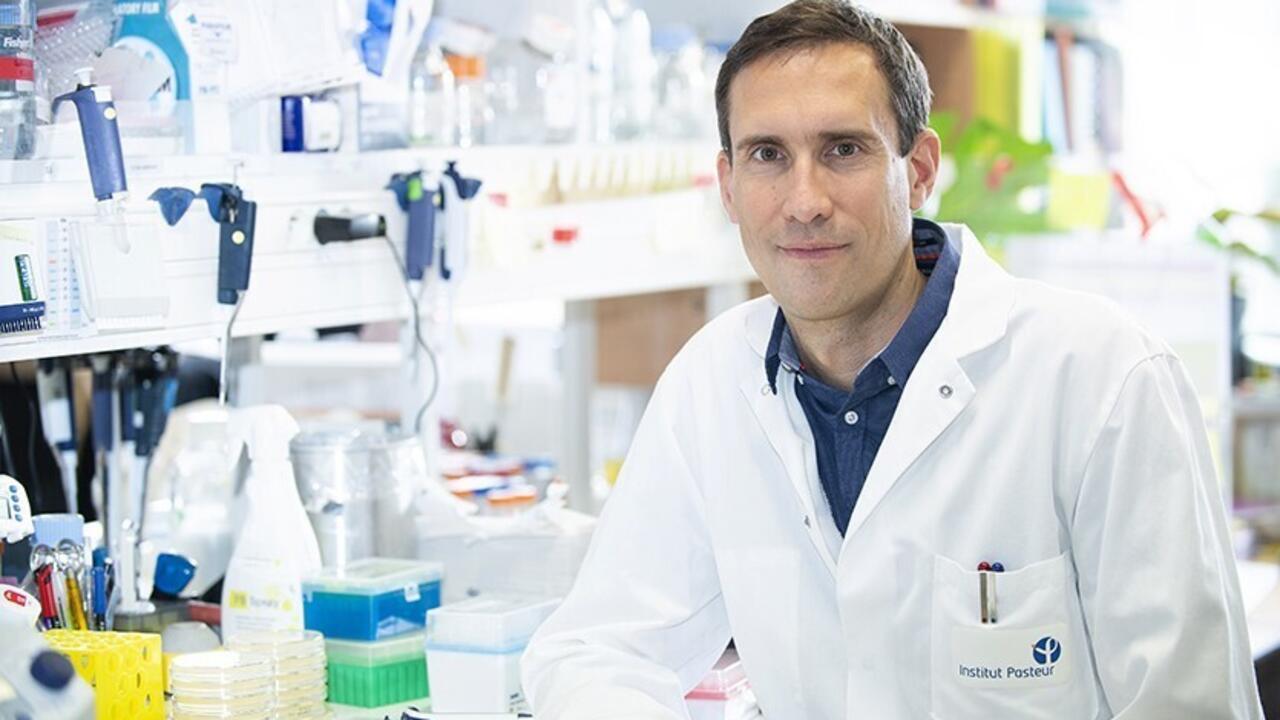 Cientistas franceses desenvolvem vacina para evitar reações alérgicas graves - Saúde em dia