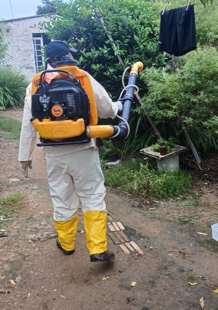 Vigilância em Saúde intensifica ações de monitoramento e controle do Aedes aegypti — Prefeitura de Bagé