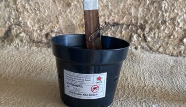 Saúde reforça importância de armadilhas contra a dengue, e pede colaboração da população