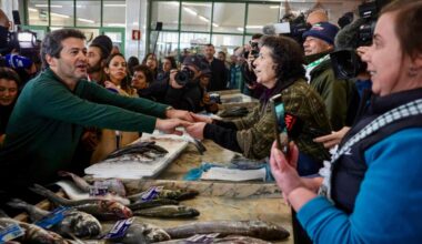 Jornal de Notícias Logo