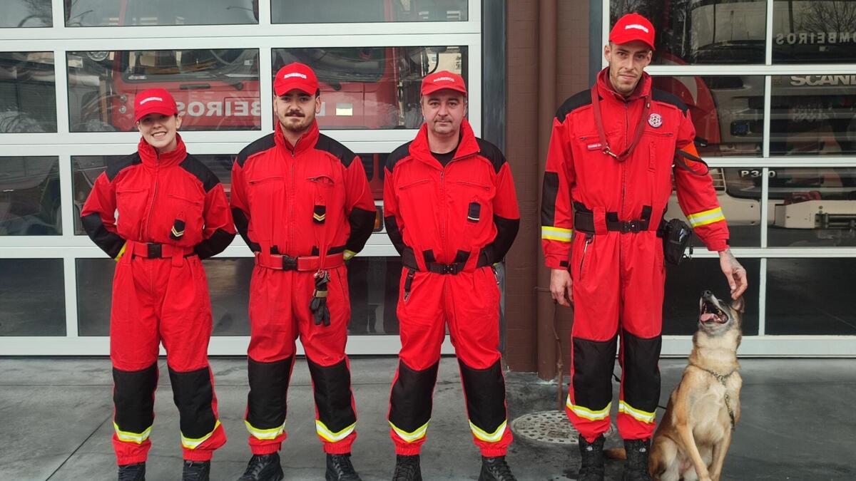 Jornal de Notícias Logo