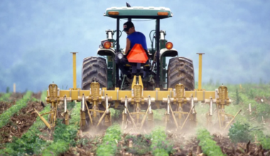 Governo vai abrir apoio a agricultores com taxas que podem chegar a 100%
