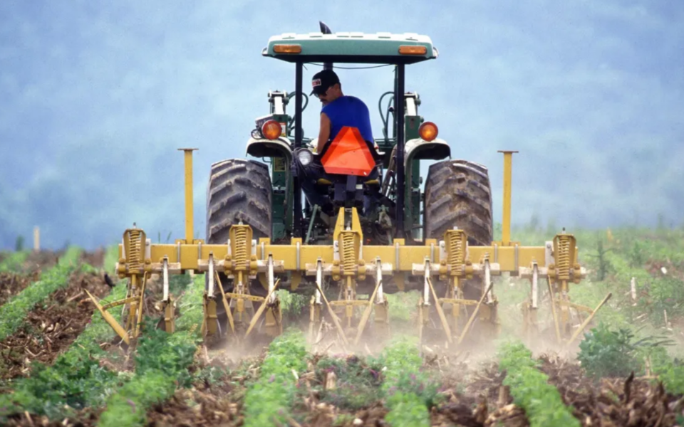 Governo vai abrir apoio a agricultores com taxas que podem chegar a 100%